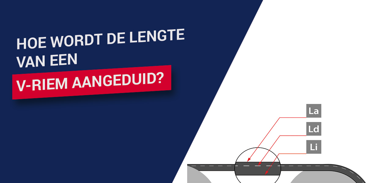lengte